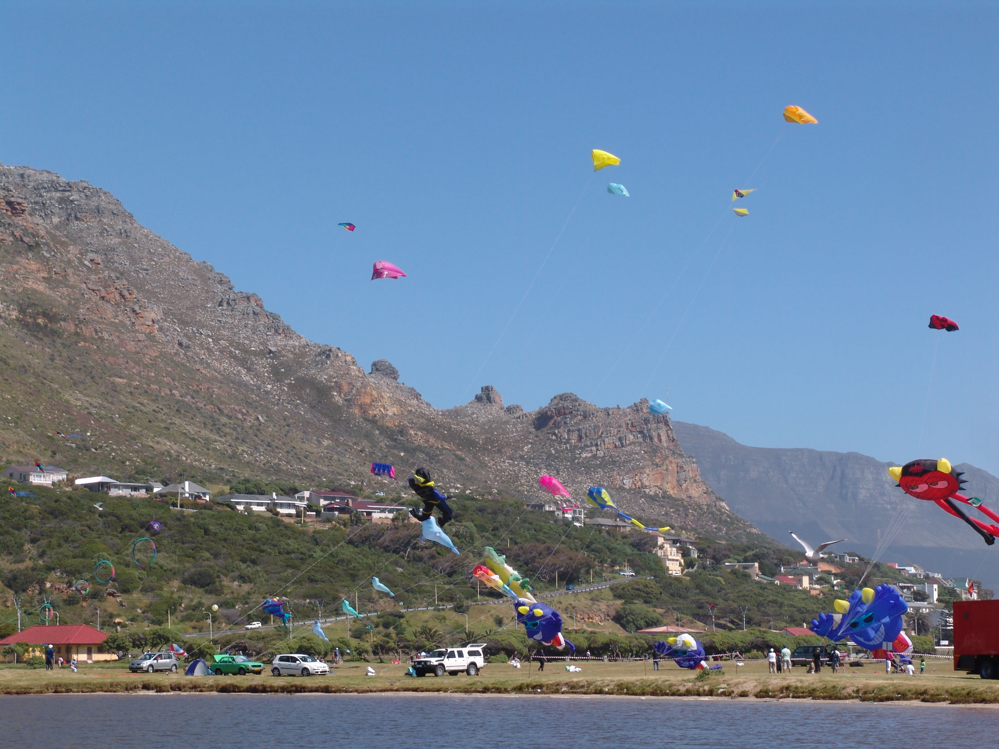 Kite Festival / DSC02346.JPG