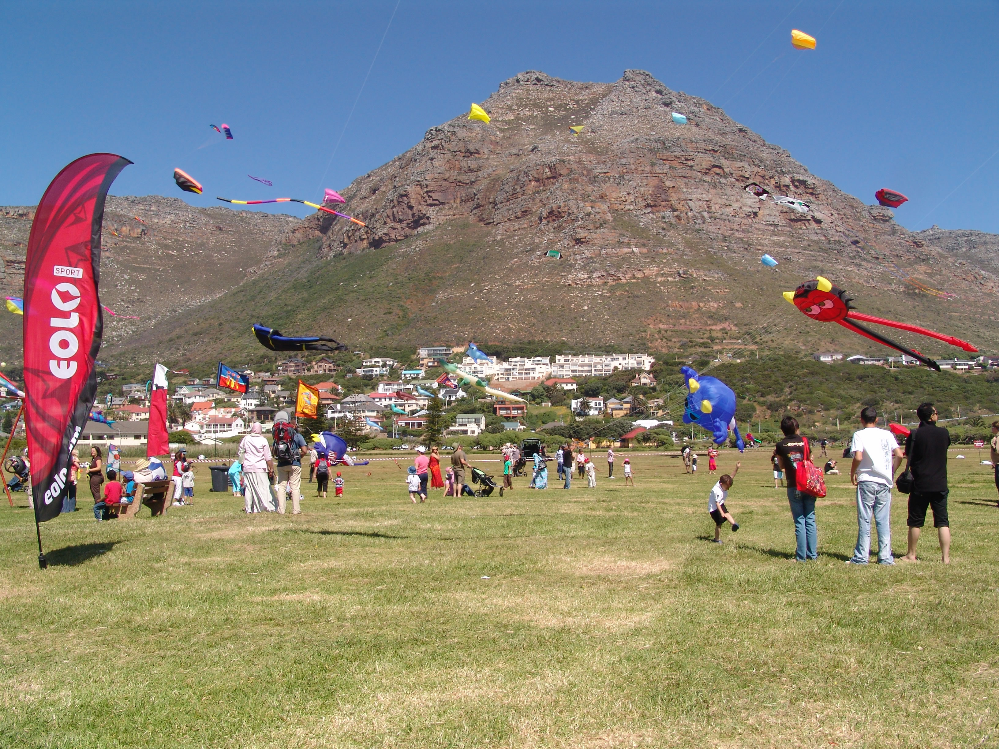 Kite Festival / DSC02354.JPG